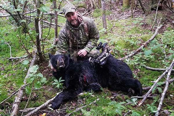 Bear with hunter